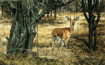 Animal Painting - carnero steenbok